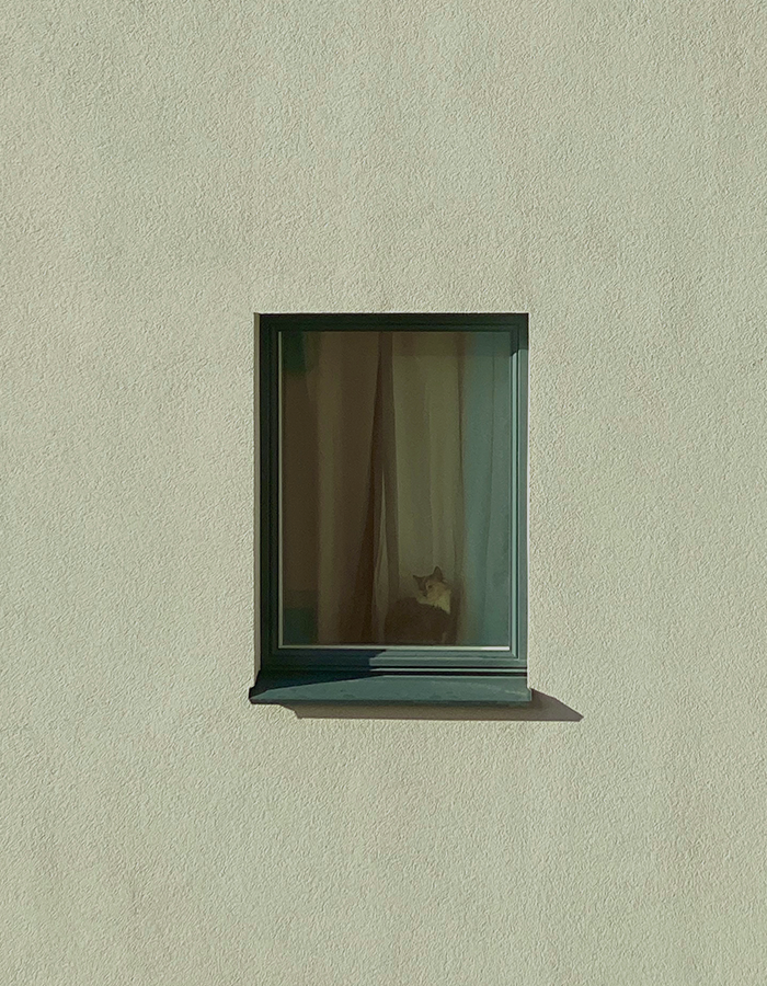 노벨문학상 후보로
예측된 책이 궁금해요