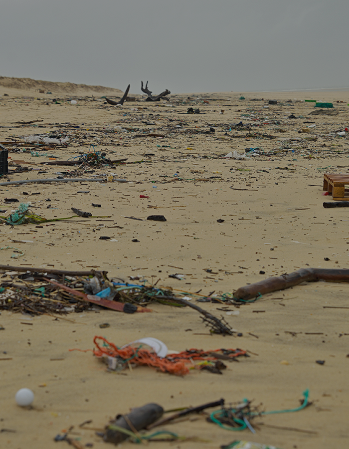 환경문제에
관심이 가요