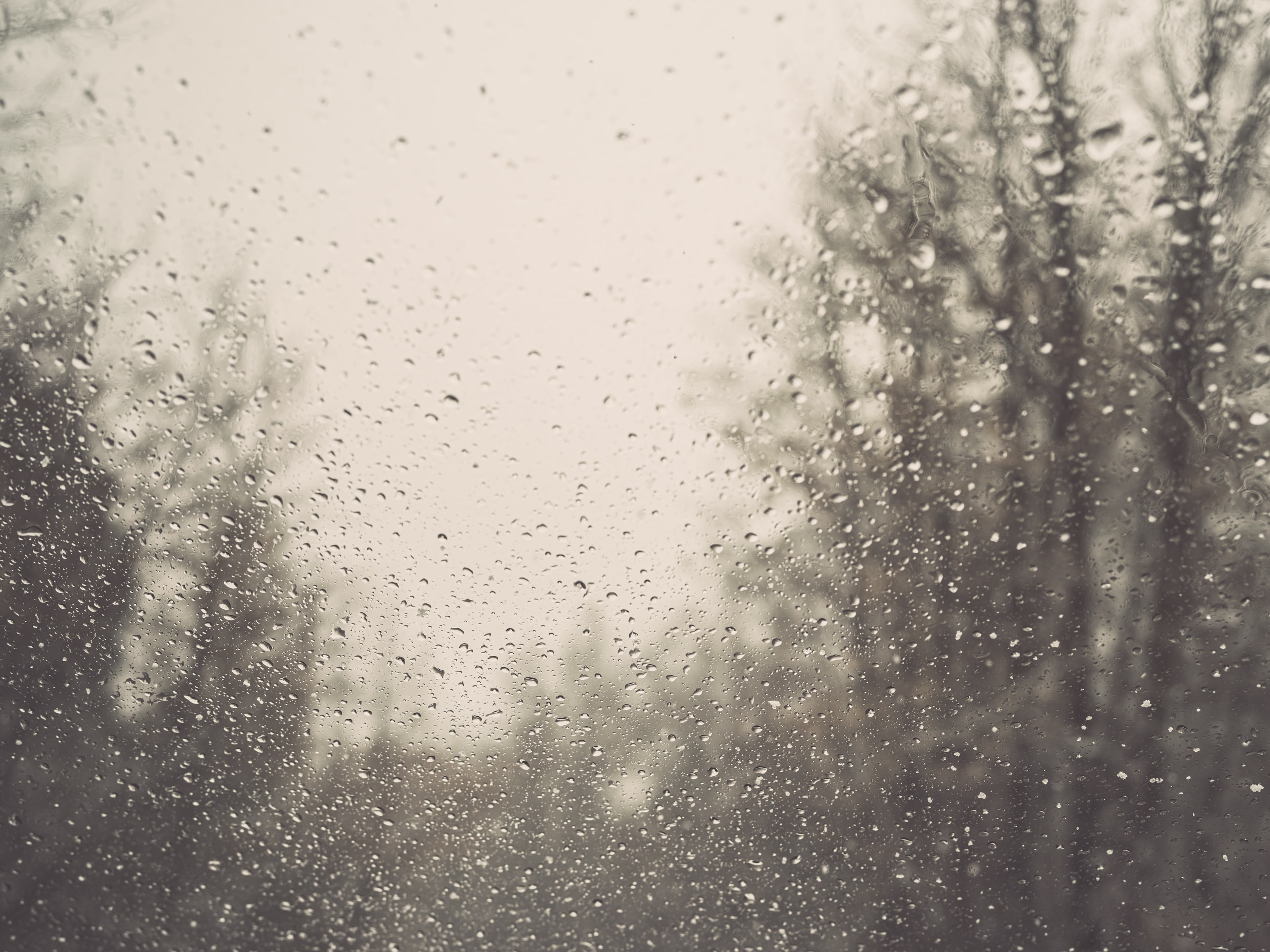 사랑을 하는데
마음이 절절해요