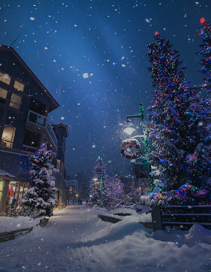 크리스마스를 특별하게
보내고 싶어요