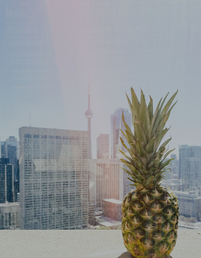 채식을
시작하고 싶어요