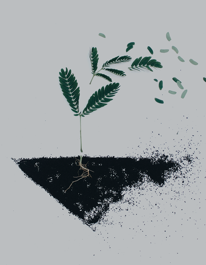 공생에 대해
알고 싶어요