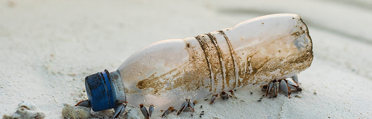 환경 문제에 
관심이 늘었어요