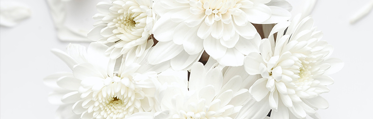 한국전쟁이
궁금해요