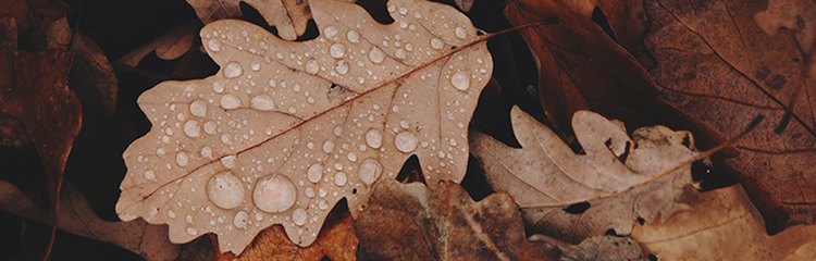 가을과 어울리는
책을 읽고 싶어요