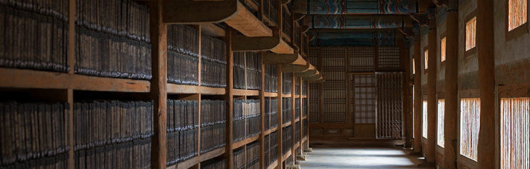 한국 역사가
궁금해요