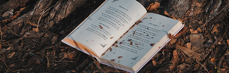 삶을 향한 메시지가
담긴 소설을 읽고 싶어요