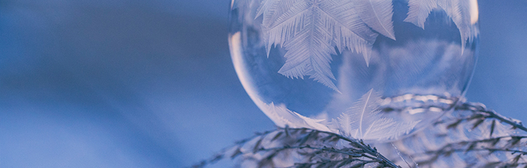 겨울 분위기 가득한 
책을 읽고 싶어요