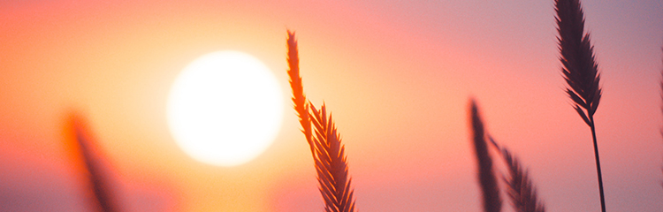 내일 더
행복해지고 싶어요