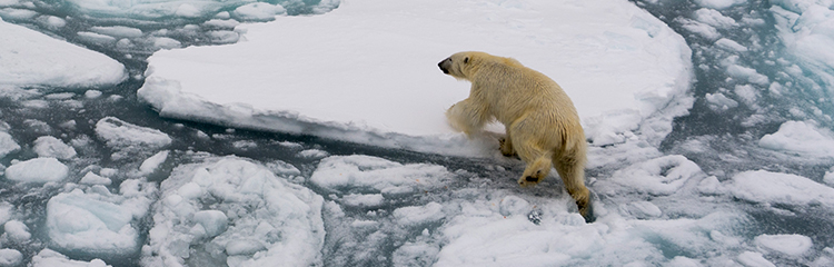 지구를 위해서 
우리가 할 수 있는 일