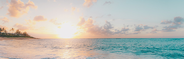 여름 분위기 나는 
책을 읽고 싶어요