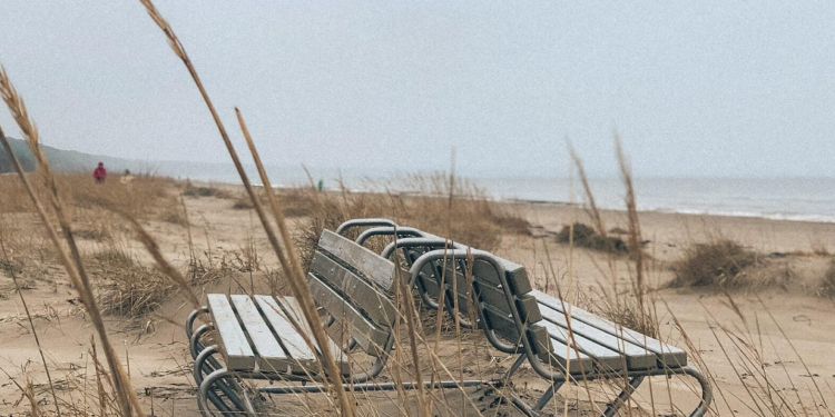 스쳐가는 가을을 오래
남겨두고 싶어요