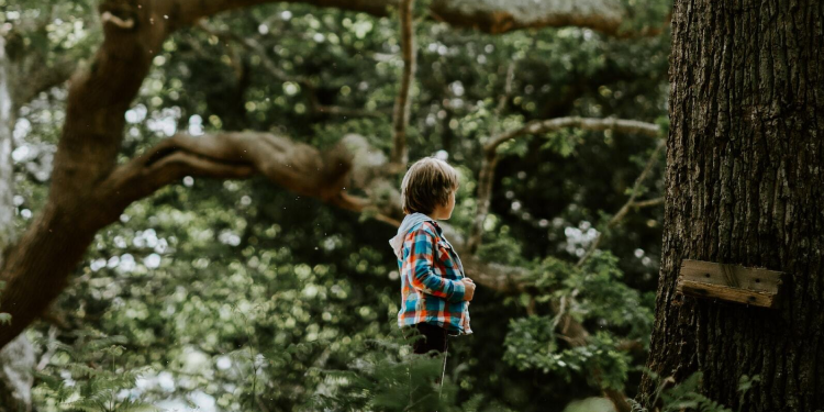 마음을 내려놓고
나에게 돌아오고 싶어요