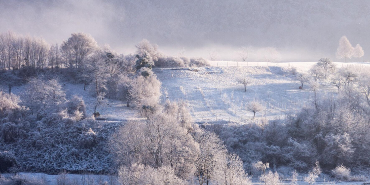 이번 겨울을 따뜻하게
보내고 싶어요