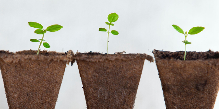 봄의 생기를 가득 품은
책을 읽고싶어요