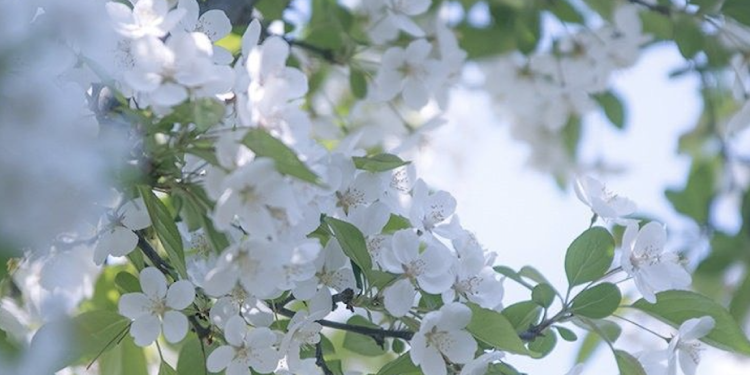 역사를 아는
떳떳한 삶을 살고 싶어요