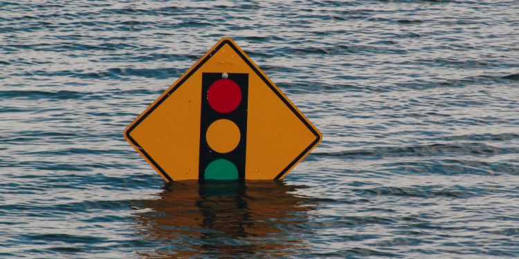 안전한 세상에서
살고 싶어요