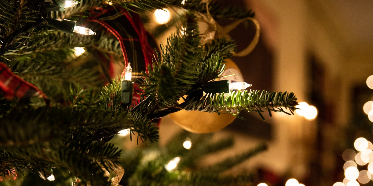 크리스마스에
책을 읽어요