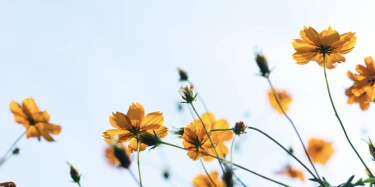 새로운 시작, 마음의 봄을 여는
책을 읽고 싶어요