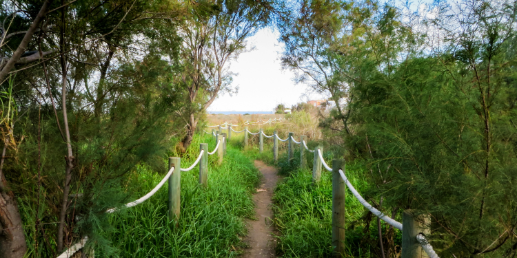 내가 정말로 원하는 것을 찾고 싶어요
