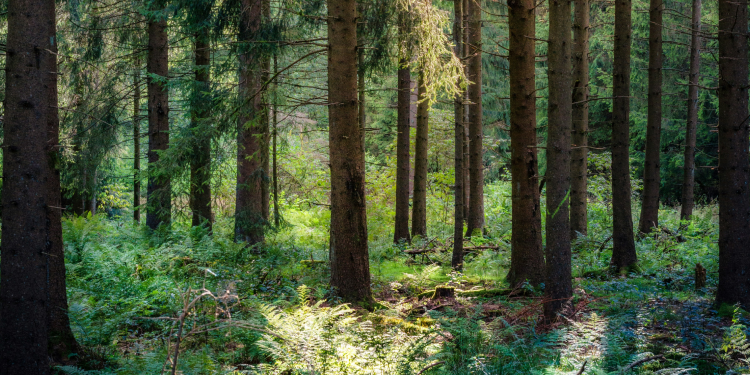 바쁜 하루 끝, 자연 속에서 쉼을 찾고 싶어요