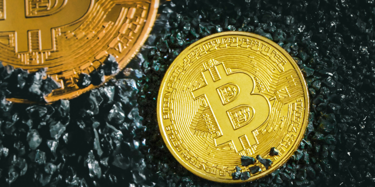 비트코인
지금 사도 되나요?