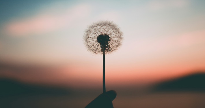 지치고 힘든 날 마음을
위로해 줄 책을 찾아요