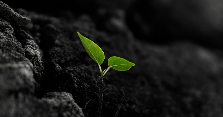 매일 조금씩
달라지고 싶어요