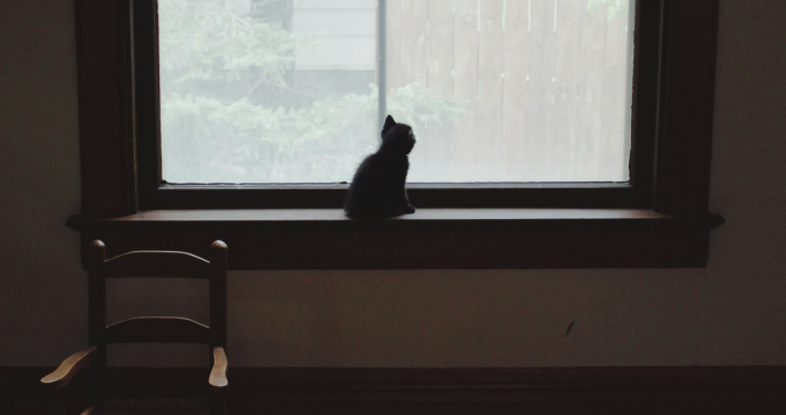 가만히 나를 마주하고
싶은 날이에요