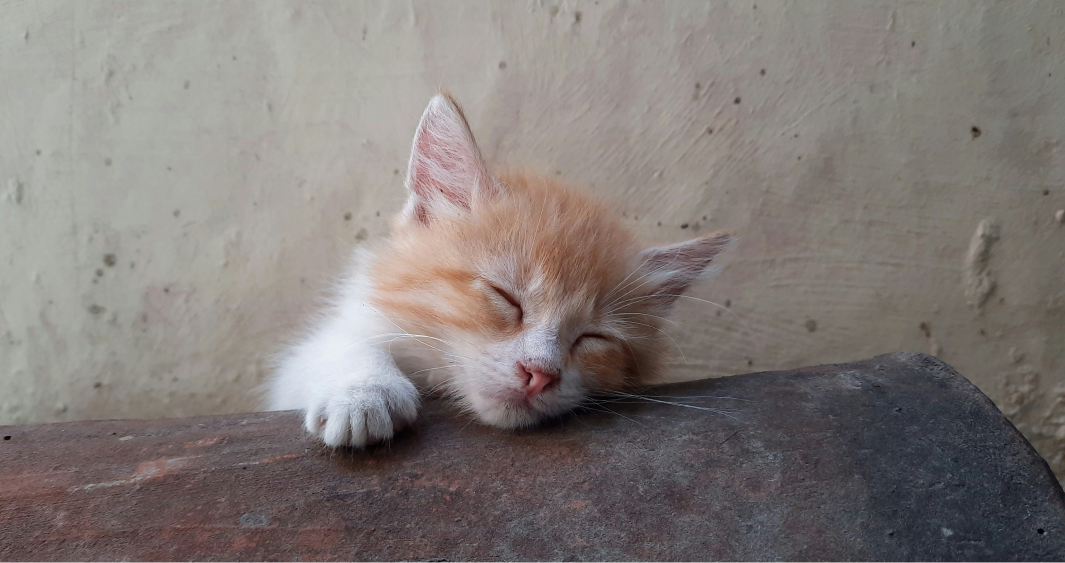 다 놓고 싶을 때
나를 붙잡아준 책