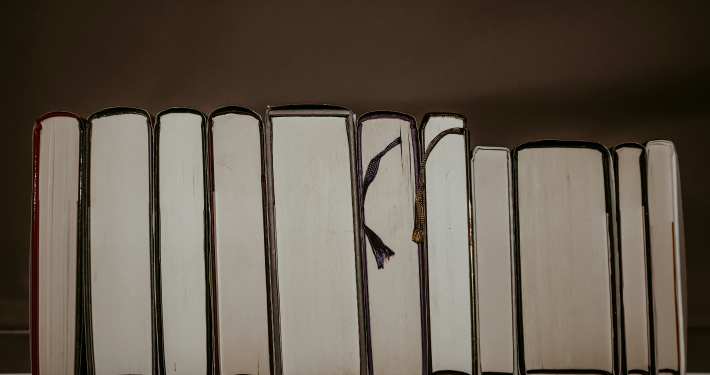 드라마 정주행 대신
책 시리즈 정주행